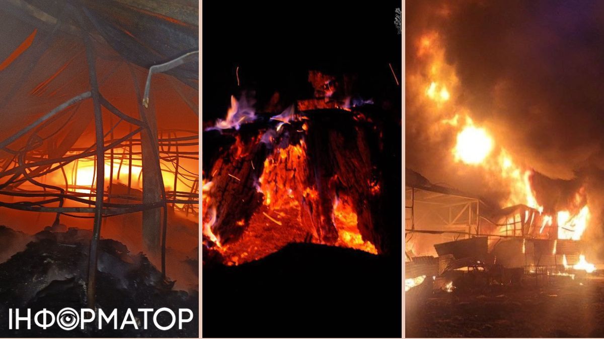 Россия атаковала дронами Запорожье и область