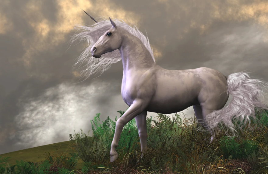 Єдинорогів обожнюють як діти, так і дорослі