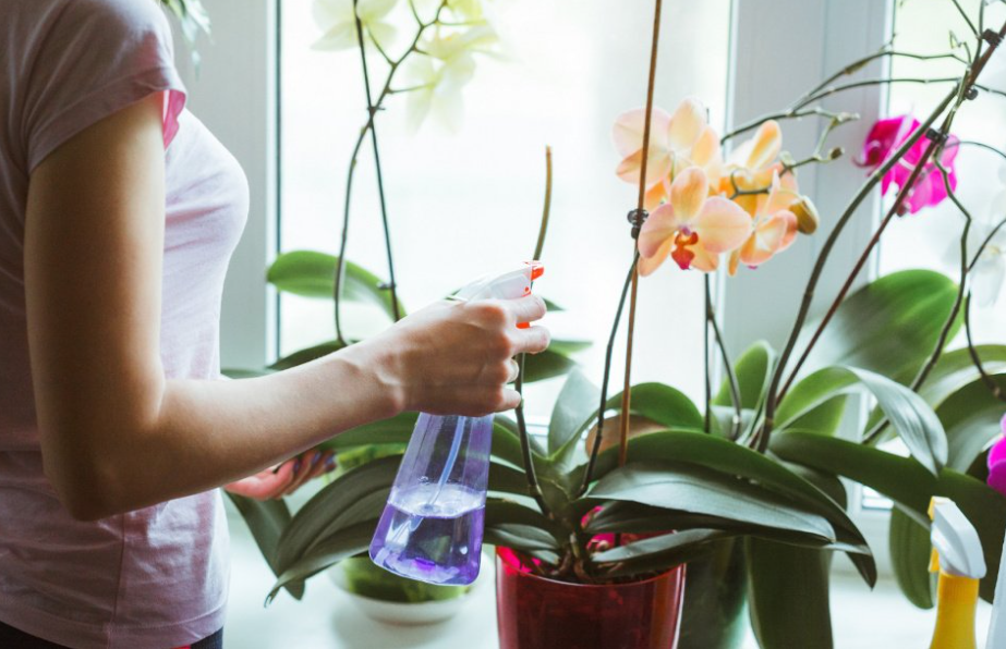 Обработка должна быть тщательной