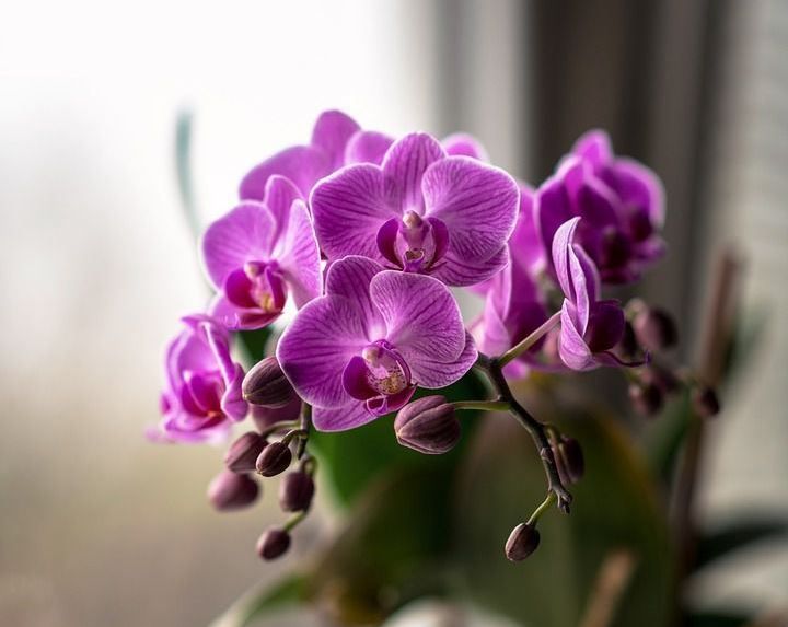 Уход должен быть обязательным