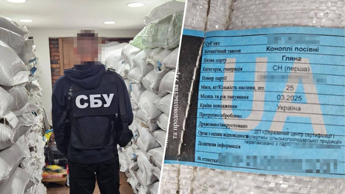 СБУ затримала топдетектива НАБУ Руслана Магамедрасулова: допомагає батькові продавати коноплю у РФ 1