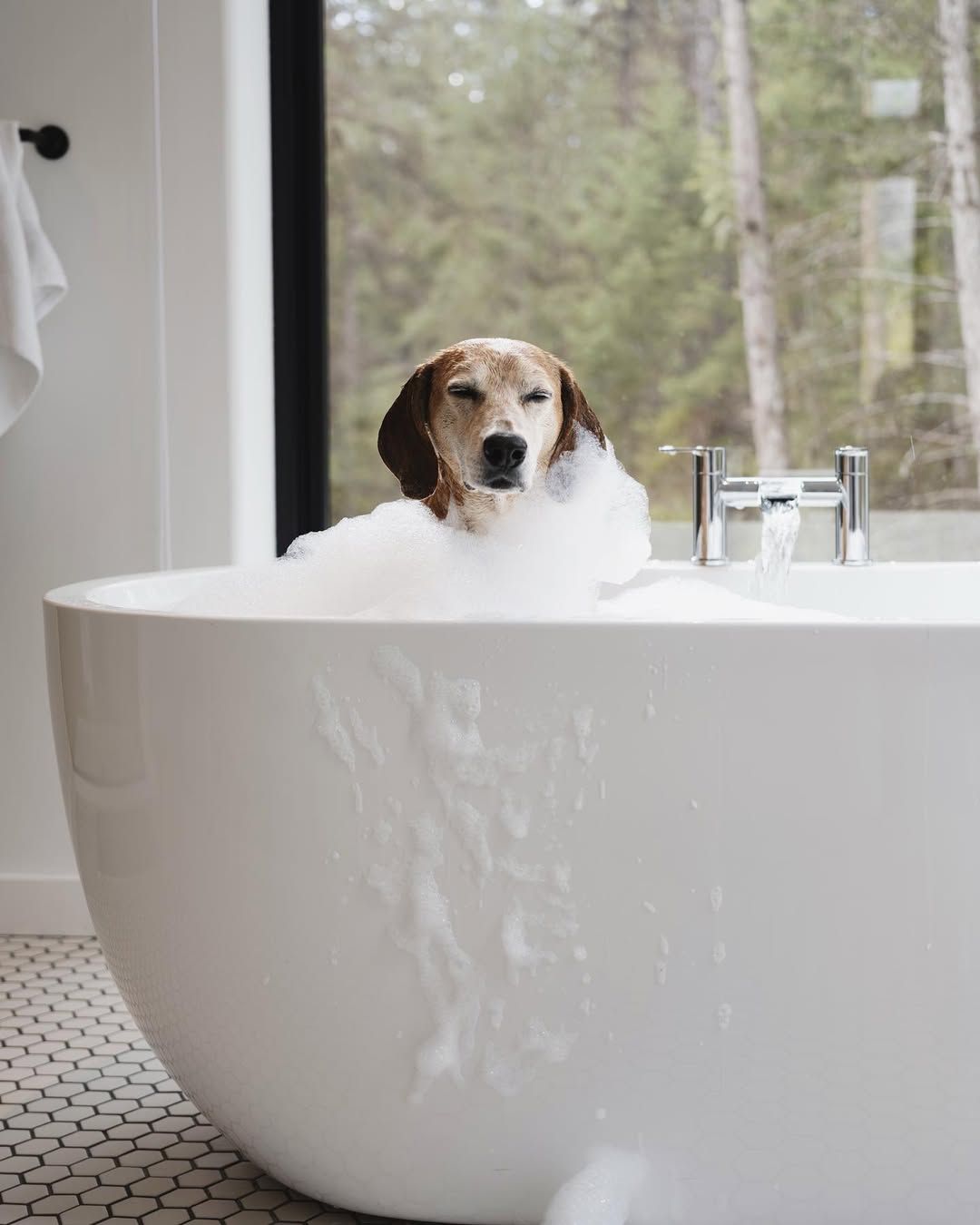 Ее взгляд излучает мудрость и знание. Ее взгляд излучает мудрость и знание.