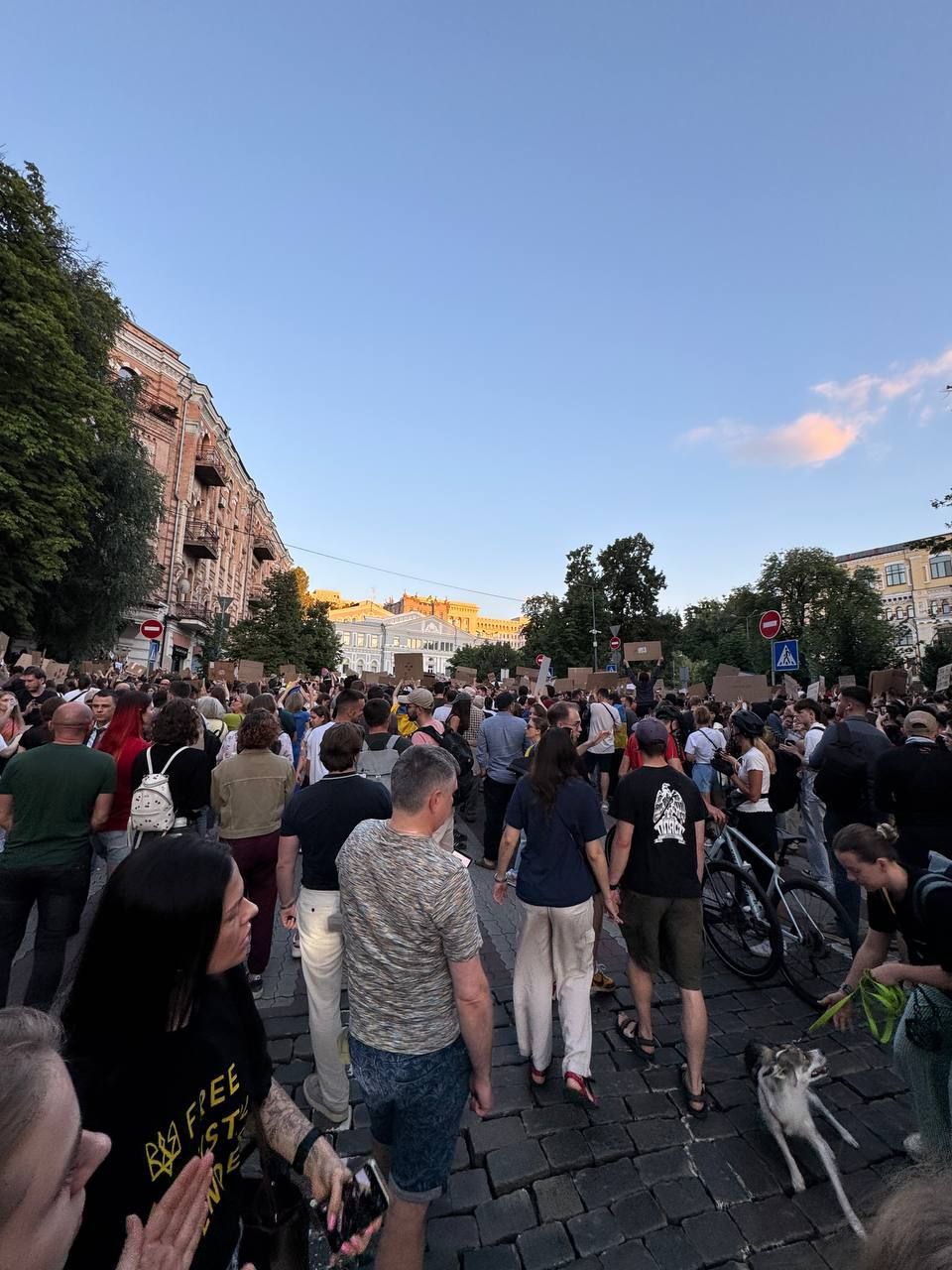 В Україні другий день поспіль протестують проти знищення НАБУ: у Києві зібралися сотні людей 6