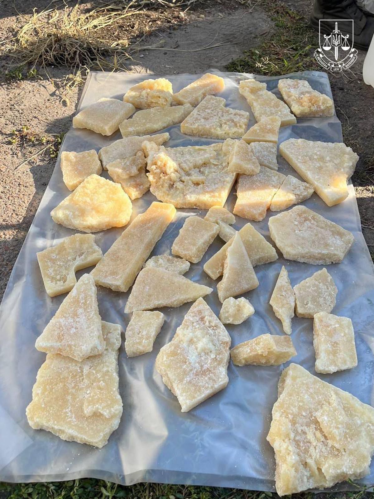 Сотні кілограмів наркотиків: українські і польські правоохоронці викрили нову мережу (фото) 4