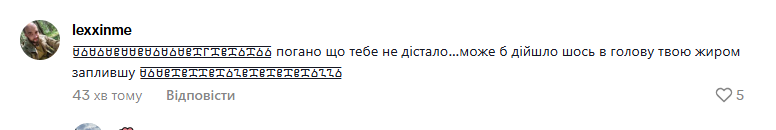 Будинок блогерки Русалочки XL у Києві знищено дронами, поруч палає автівка 3