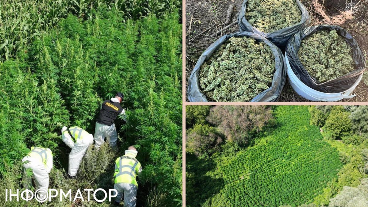 У результаті операції відбулось 130 обшуків у 20 регіонах та було вилучено понад 4 млн доз наркотиків