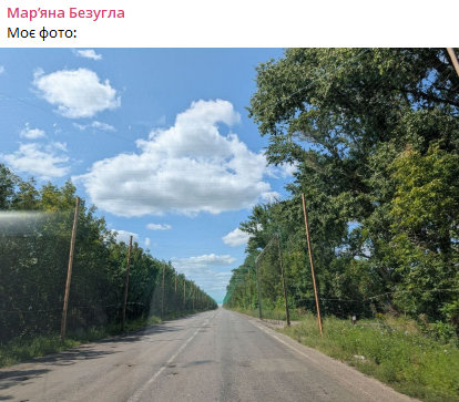 Антидронові сітки