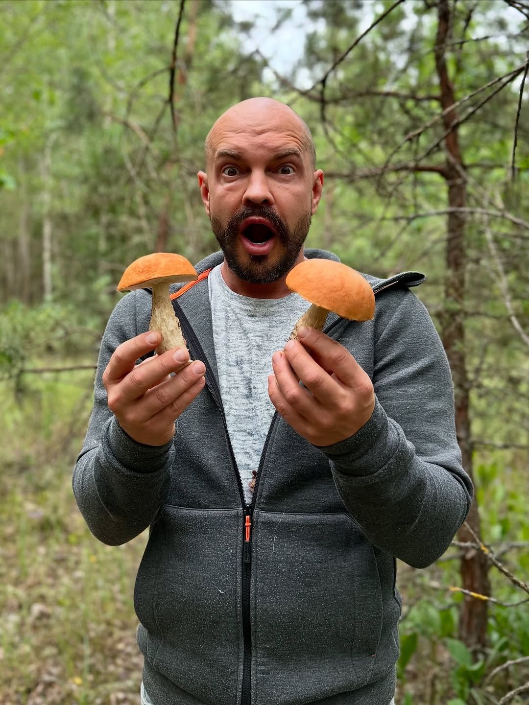 Один з найулюбленіших відпочинків Ярославського - збір грибів Один з найулюбленіших відпочинків Ярославського - збір грибів