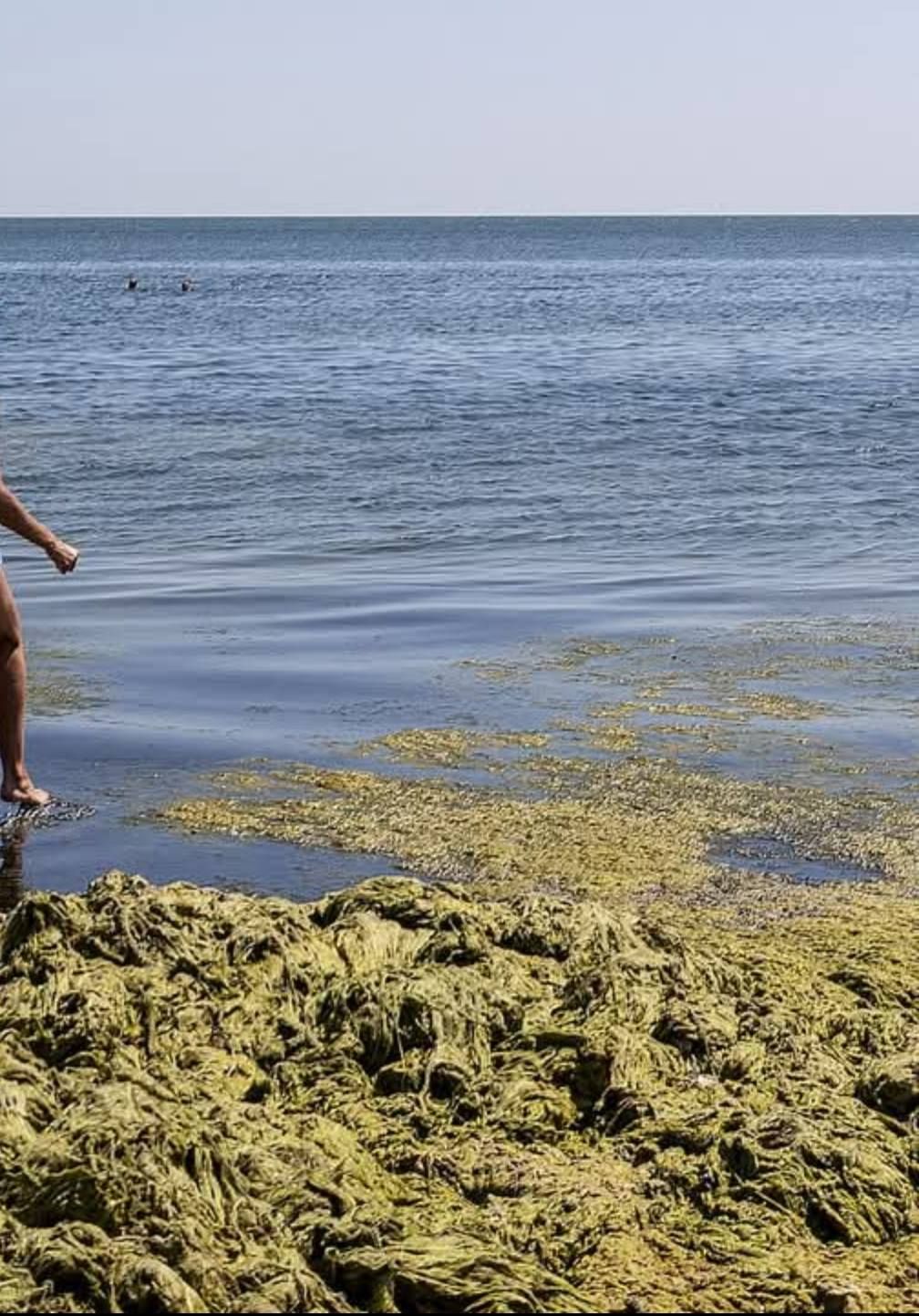 Фото - Facebook Balinskyy Vladislav Фото - Facebook Balinskyy Vladislav