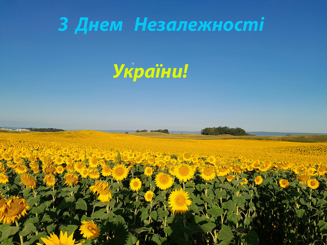 Україна має бути сильною та вільною! Привітання до Дня Незалежності України у віршах, прозі та листівках 4