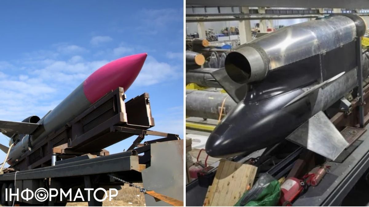 Українська крилата ракета Фламінго