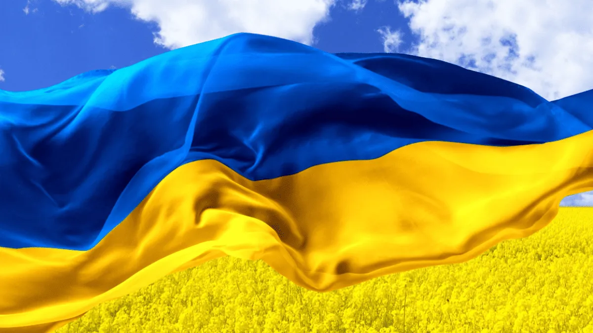 вірші