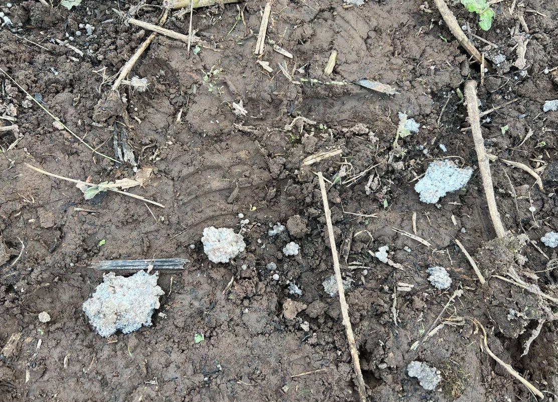 Український дрон впав та здетонував в Естонії: наслідки ударів по Пітеру 3