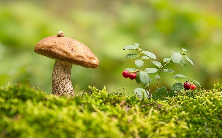 Сентябрь отразится дождями