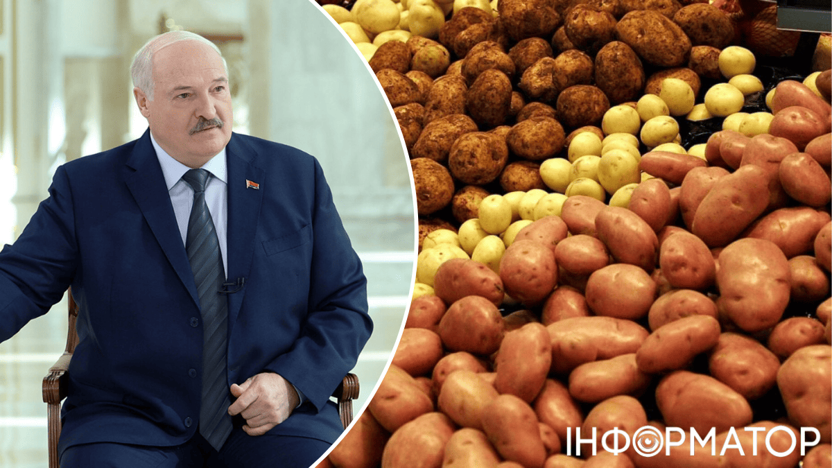 Проблемы в Беларуси, картофель в Беларуси, политика Лукашенко