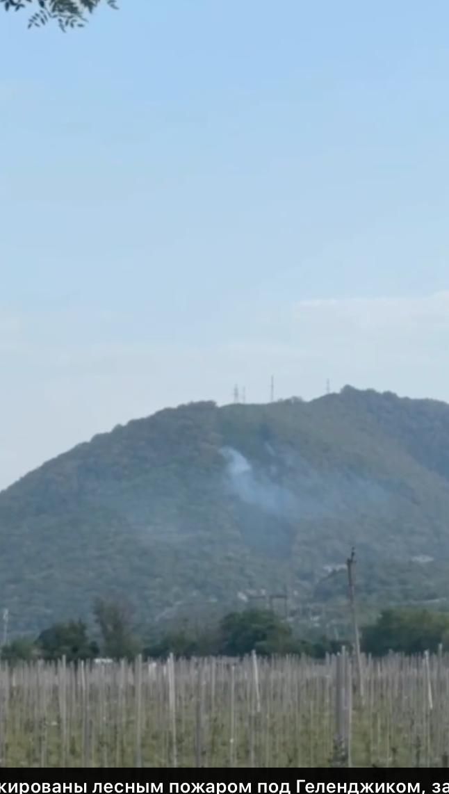 Атака ВСУ заблокировала 23 человека рядом с дворцом Путина Атака ВСУ заблокировала 23 человека рядом с дворцом Путина