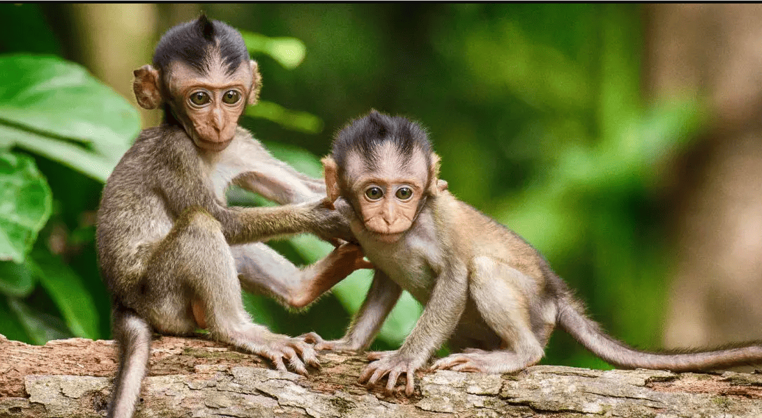 Какая сегодня, 1 сентября, дата: День знаний и Нового церковного года 3