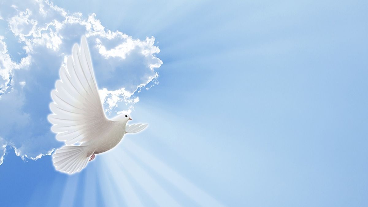 Какая сегодня, 1 сентября, дата: День знаний и Нового церковного года 4