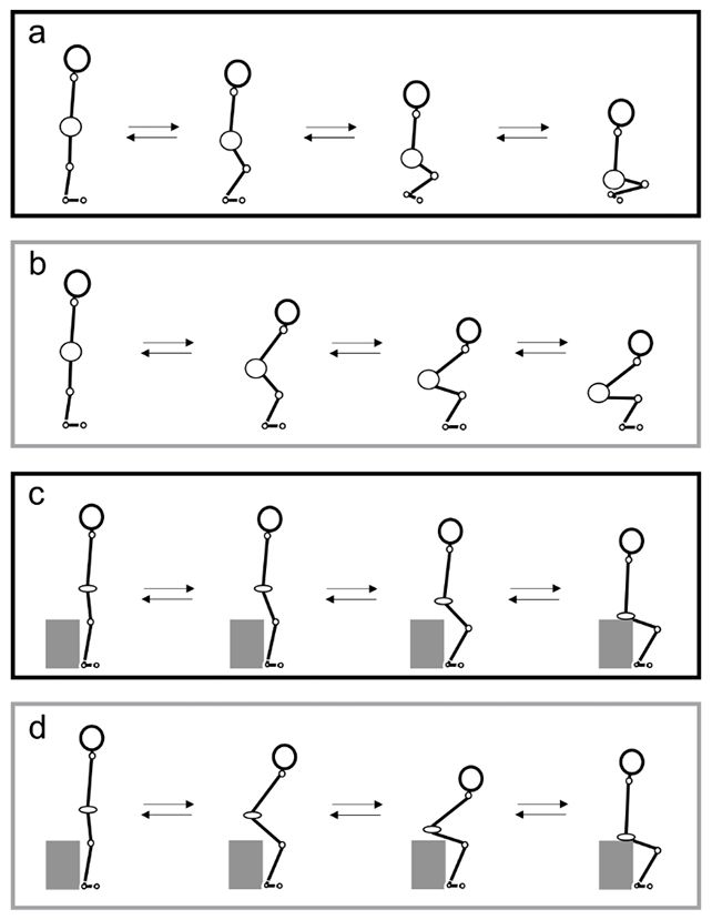 Приседать по Рей-хо нужно так, как показано на рисунках (a и c). На рисунках (b и d) – показано, как обычно приседают люди. Обратите внимание на спину.