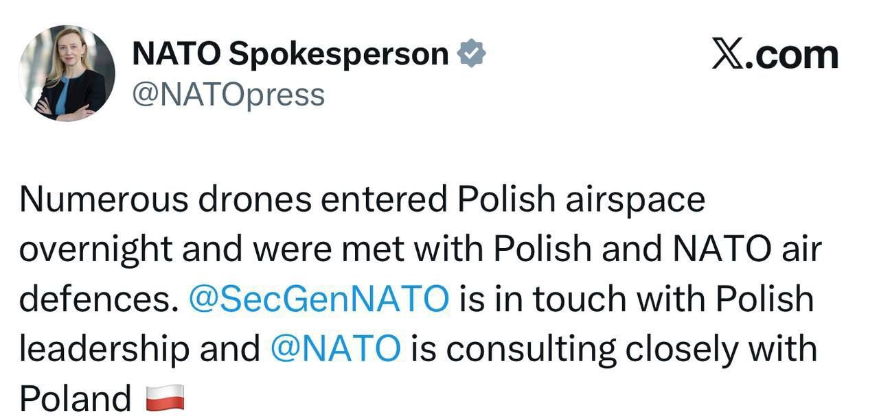 НАТО прокоментувало перший випадок збиття ворожих дронів над територією Альянсу 1