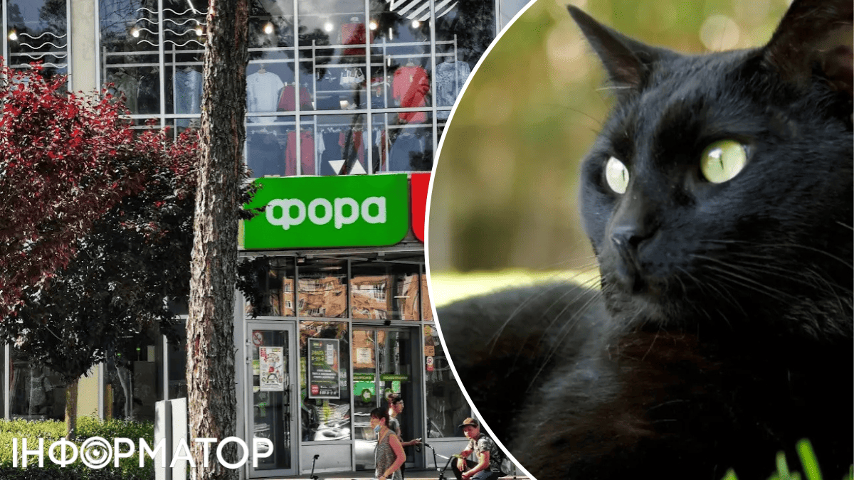 Убийство кота в Фори