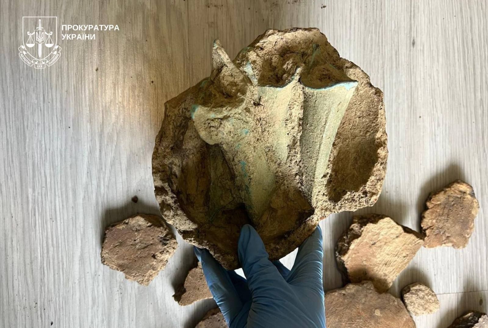 Черный археолог из Закарпатья пытался продать сокровища кельтов, но среди покупателей оказался Офис генпрокурора 2