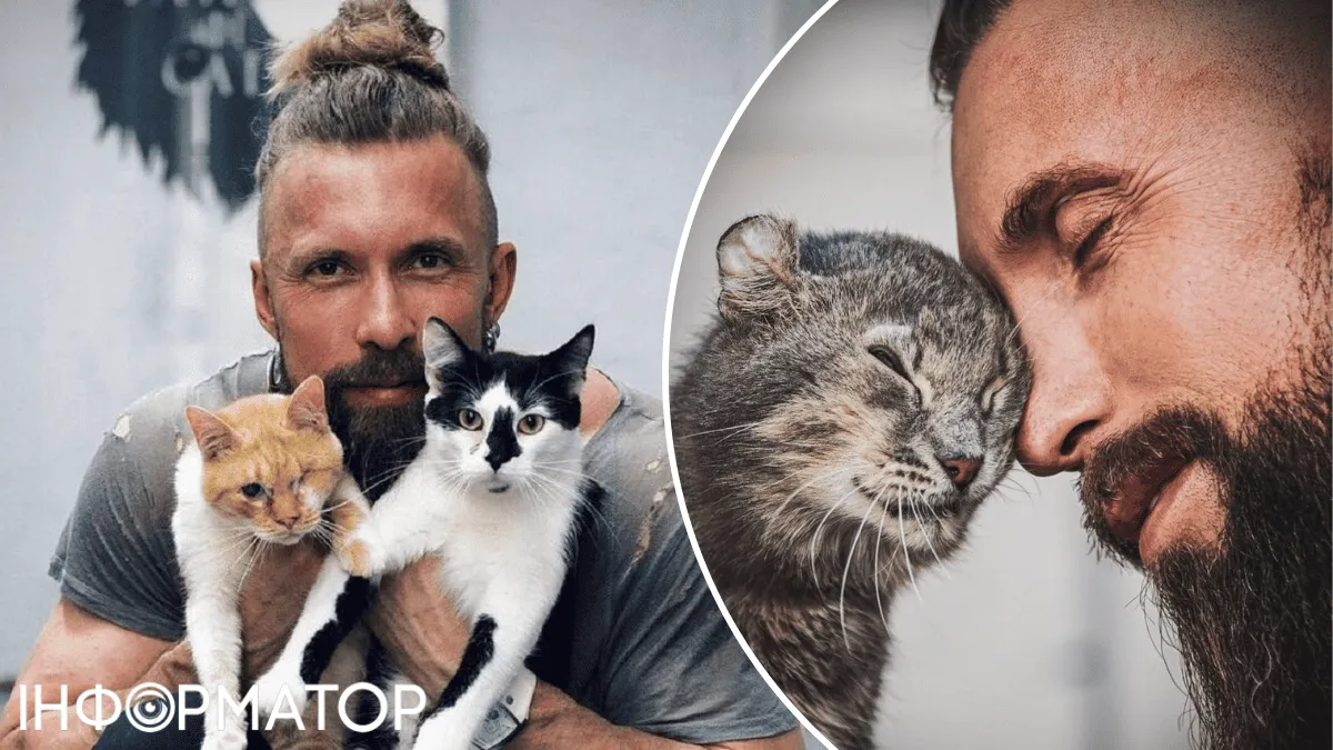 котики