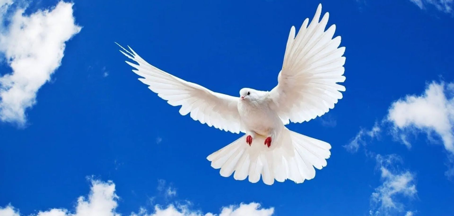 Пока этот праздник имеет особое значение для украинцев Какой сегодня, 21 сентября, праздник: День мира в Украине и города Чернигов 2