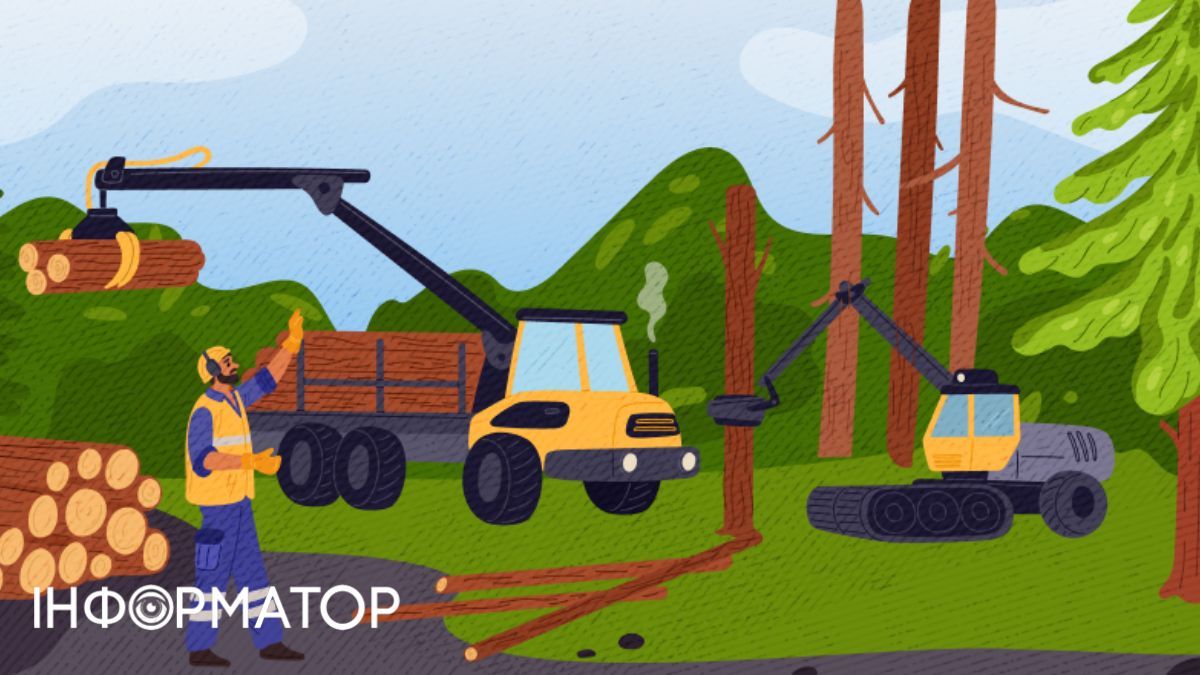 Лісове господарство України. Ілюстрація: YouControl