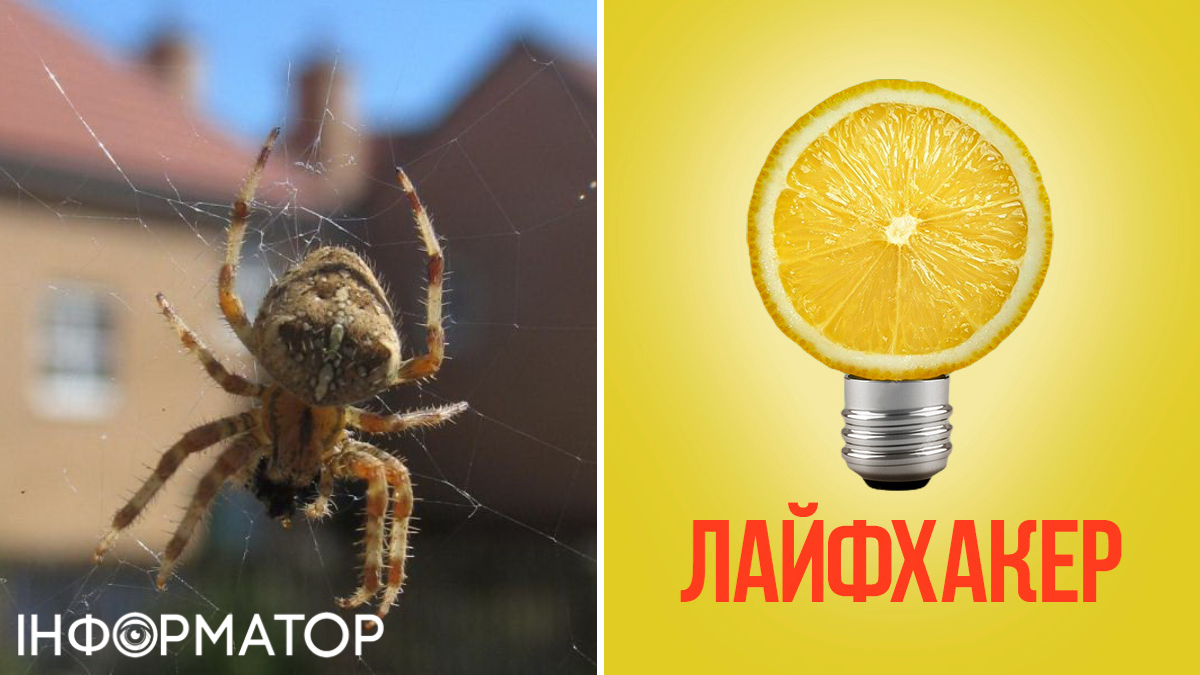 полезные советы