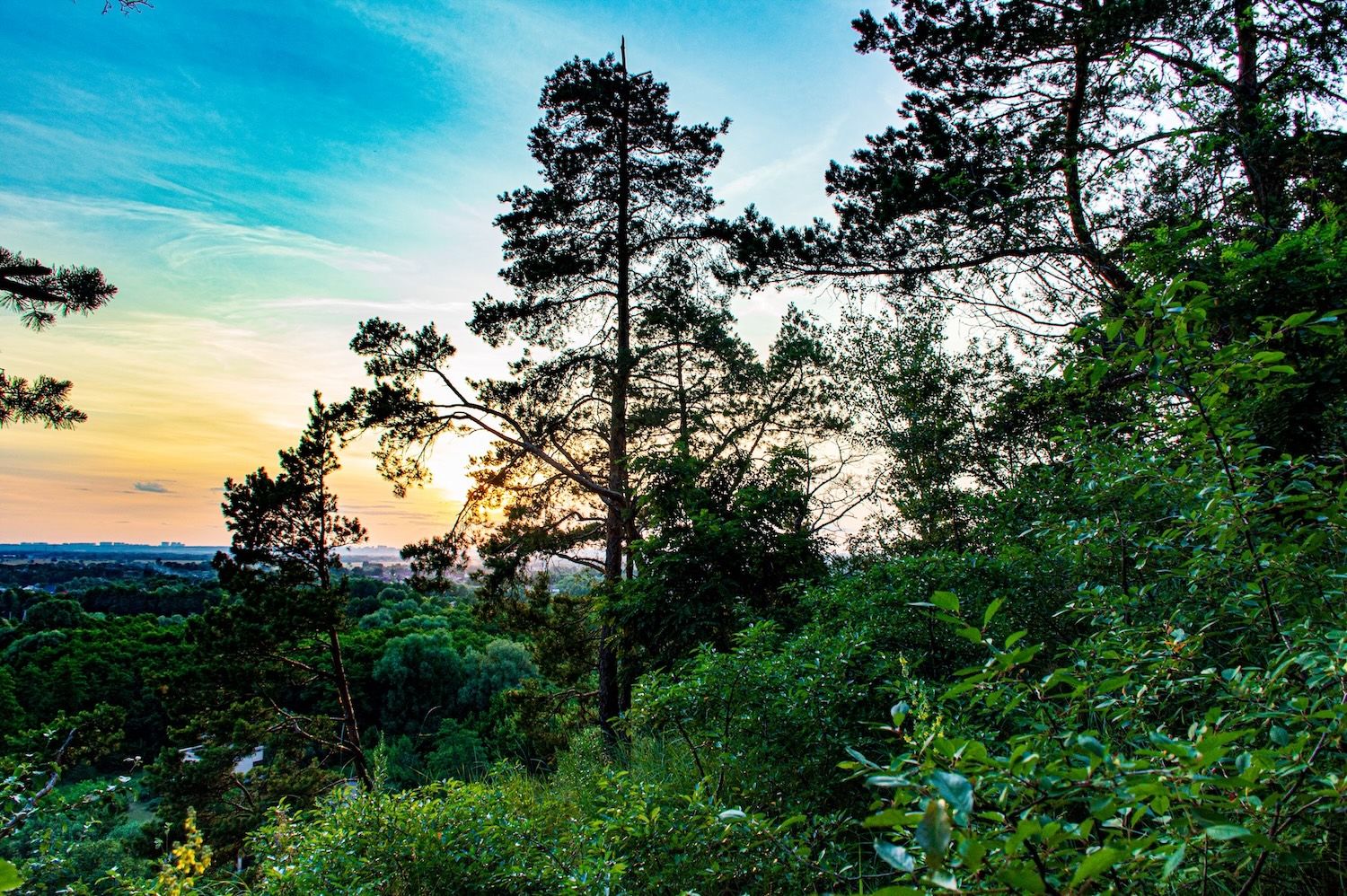 Уявляєш, як купляєш в знайомому супермаркеті м’ясо, потім несеш його в ліс, а там починаєш смажити шашлики: це було моєю практикою повернення додому. Уявляєш, як купляєш в знайомому супермаркеті м’ясо, потім несеш його в ліс, а там починаєш смажити шашлики: це було моєю практикою повернення додому.