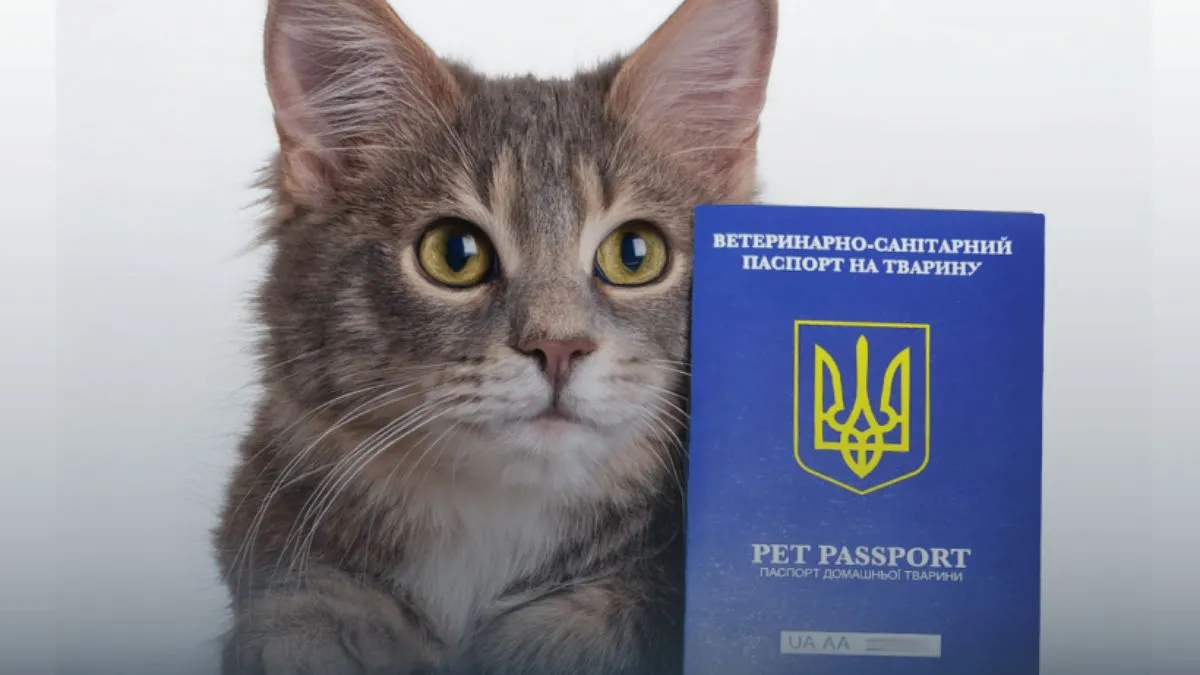 Ветеринарный паспорт Фото: Госпродпотребслужба