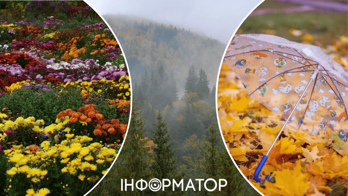 Погода