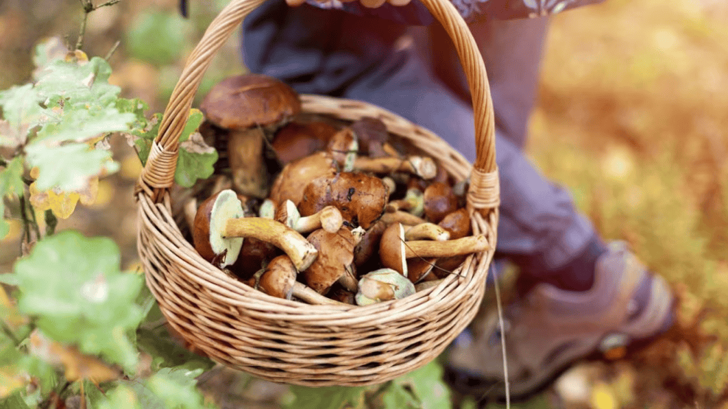 Яке сьогодні, 3 жовтня, свято: Всесвітній день татуювальника та усмішки 3