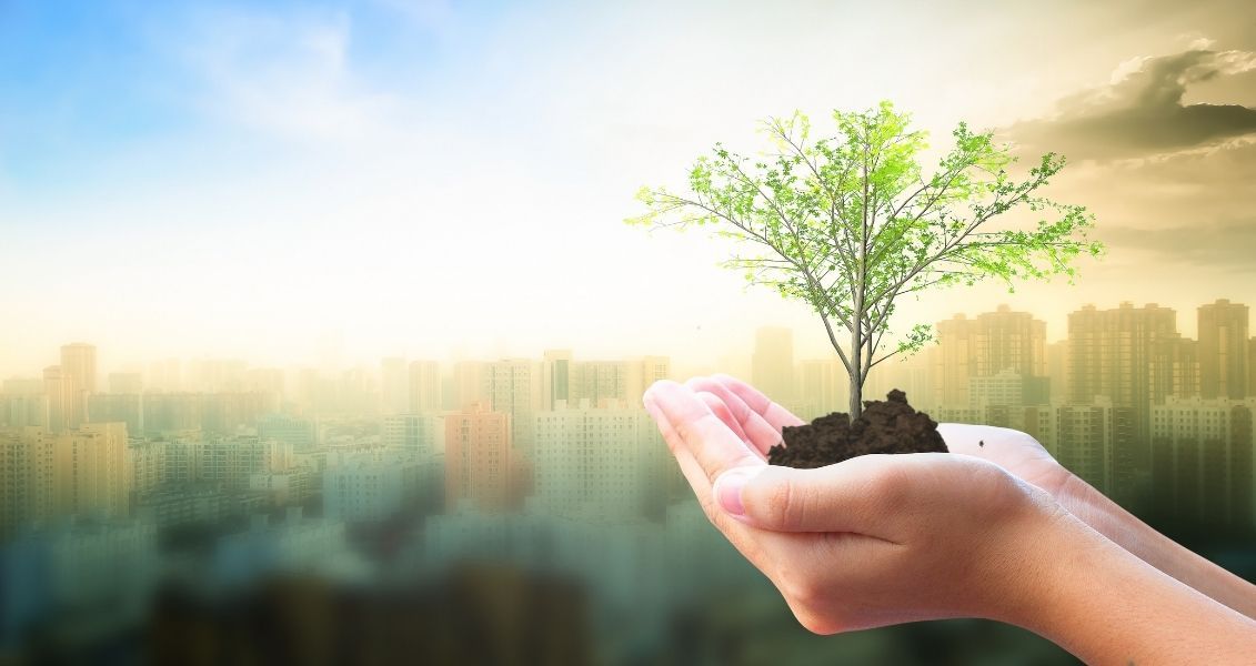 Яке сьогодні, 6 жовтня, свято: Тиждень захисту тварин та охорони місць проживання 5