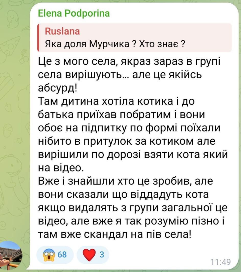 Це правда не ТЦК! Викрадачів кота Мурчика знайдено - вони просили усюди видалити відео 1