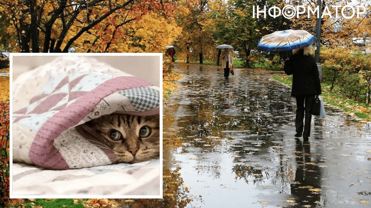 Погода