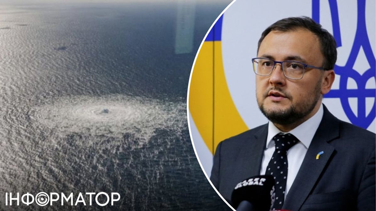 Подрыв Северного потока: Украина не вмешивается в дело задержанного в Польше украинца, но готова его защищать - посол