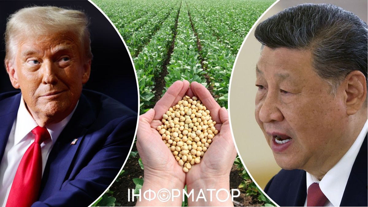 Дональд Трамп і Сі Цзіньпін