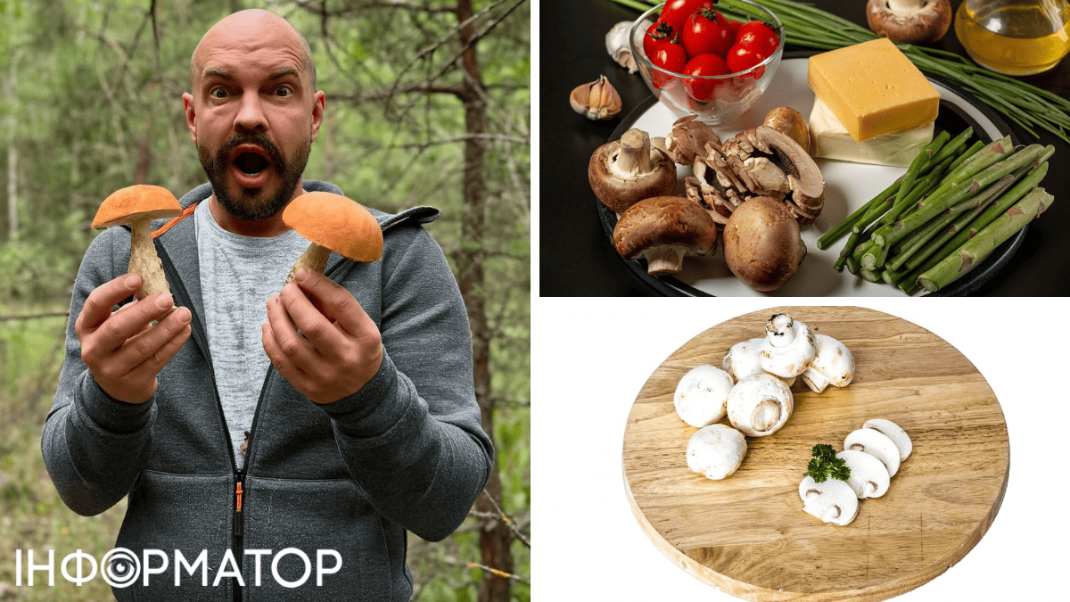 Грибы