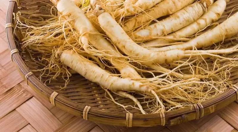 Женьшень має широкий спектр властивостей Женьшень має широкий спектр властивостей