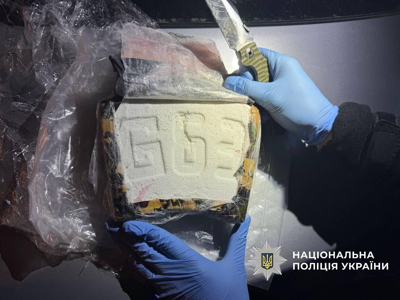 В Украине перекрыли канал контрабанды кокаина из Испании на 27 млн. грн.