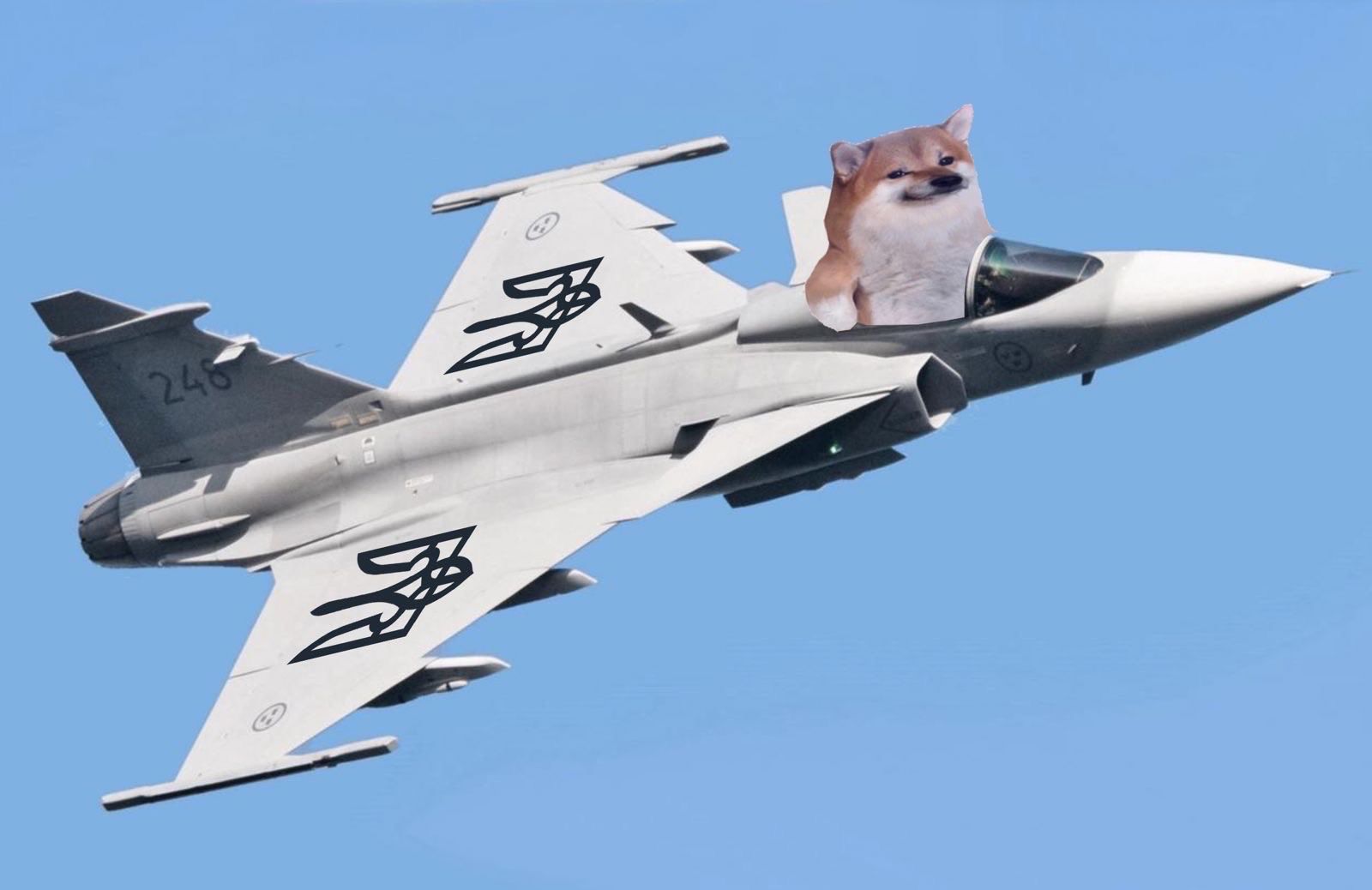 Літаки Gripen для України: посольство Швеції відзначило угоду століття мемами про котиків 2
