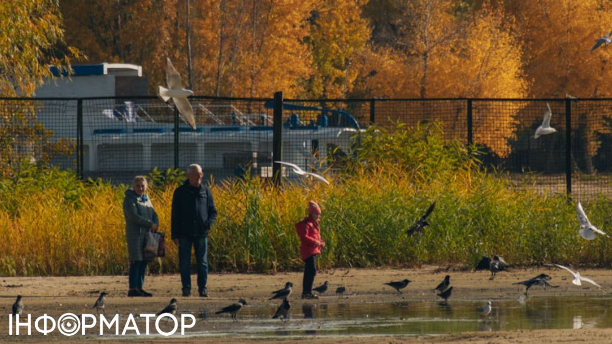 Что делать украинцам за рубежом, которые не могут пройти идентификацию онлайн – ответ ПФУ