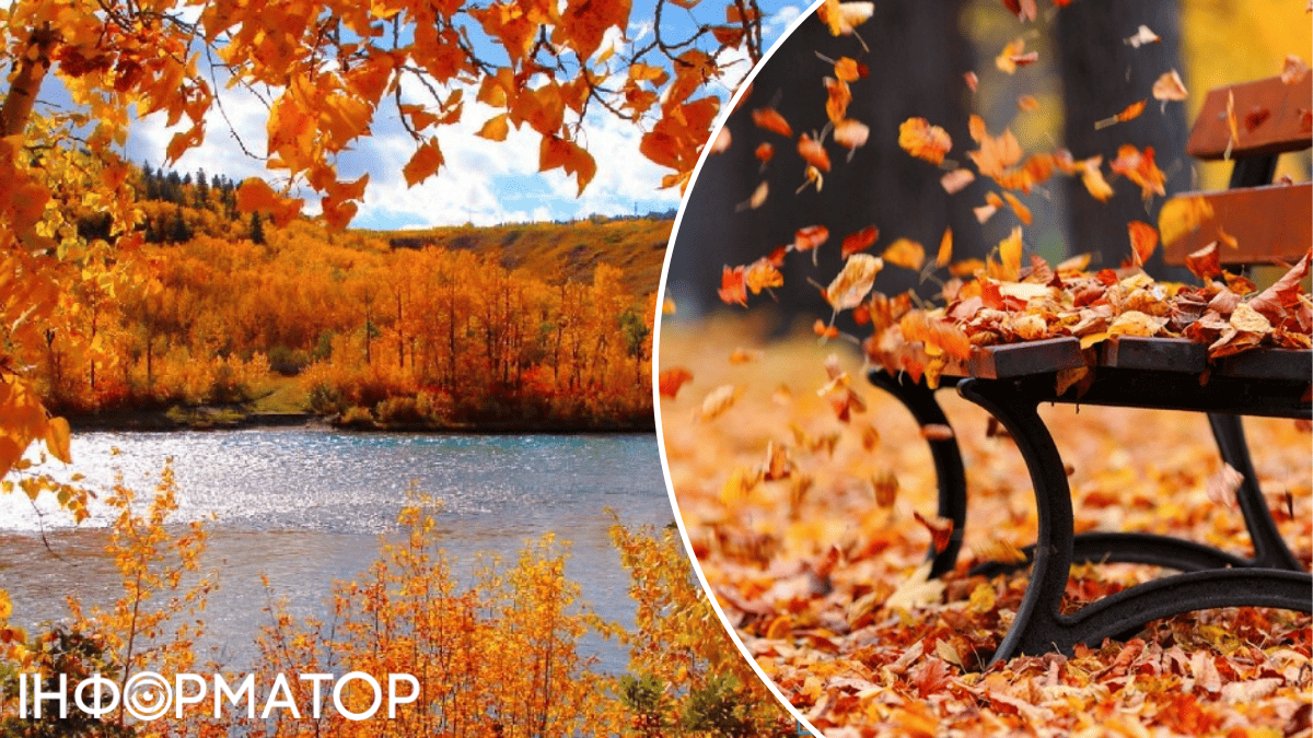 В Украину еще может прийти золотая осень – прогноз погоды на 31 октября