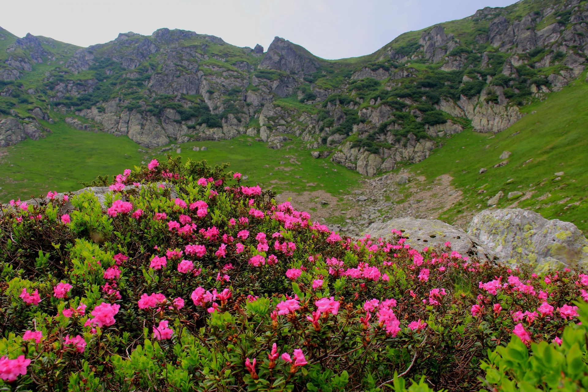 Какой сегодня, 3 ноября, праздник: 5
