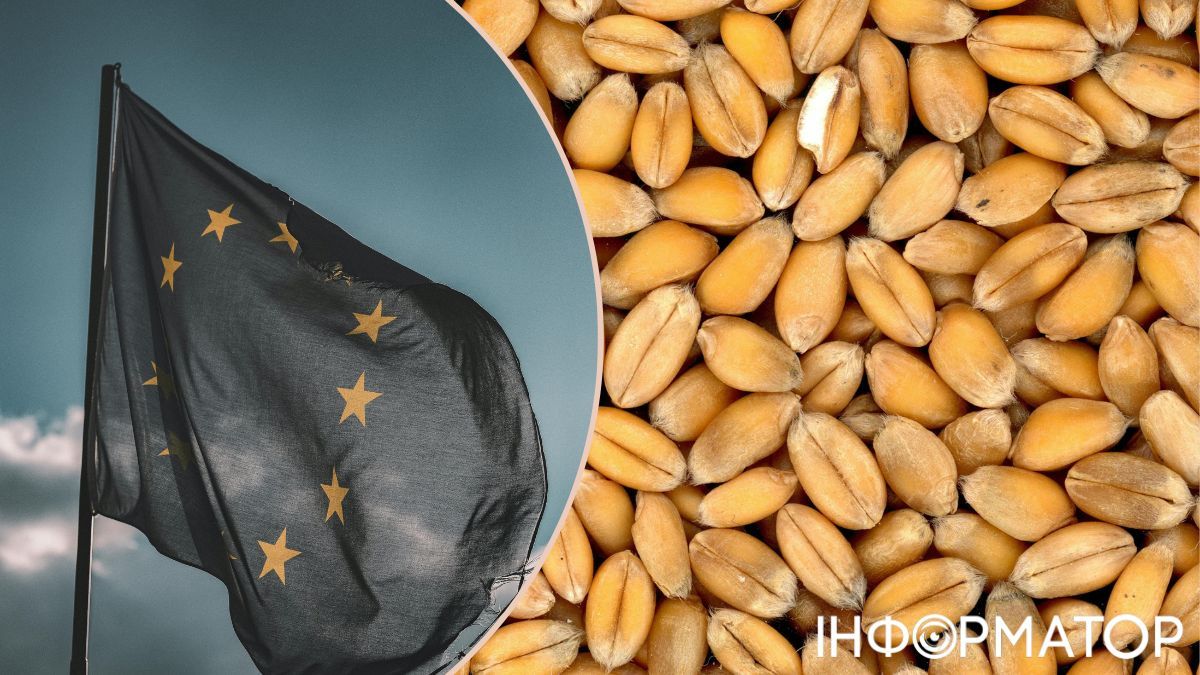 Словакия и Венгрия не отменяют эмбарго на украинское зерно