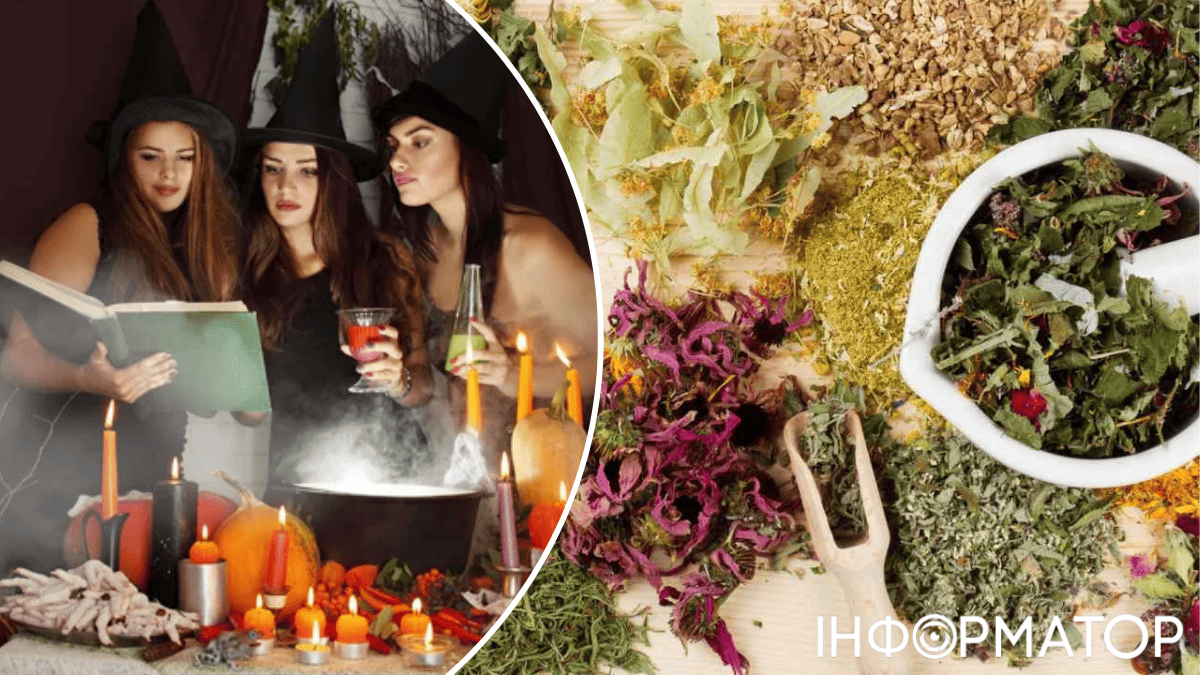 Три відьомські зілля, які дійсно працюють