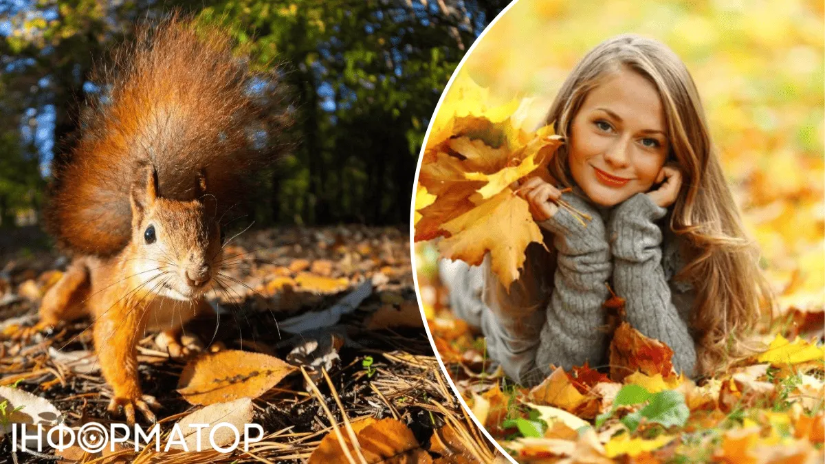 Понеділок в Україні порадує теплом – прогноз погоди на 3 листопада