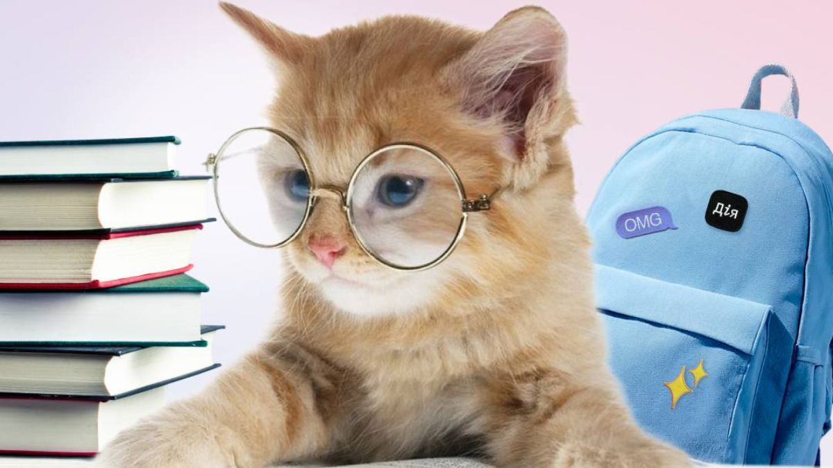 Щоб не втратити 5 тисяч гривень - встигніть зробити це до 15 листопада - Мінцифри попереджає